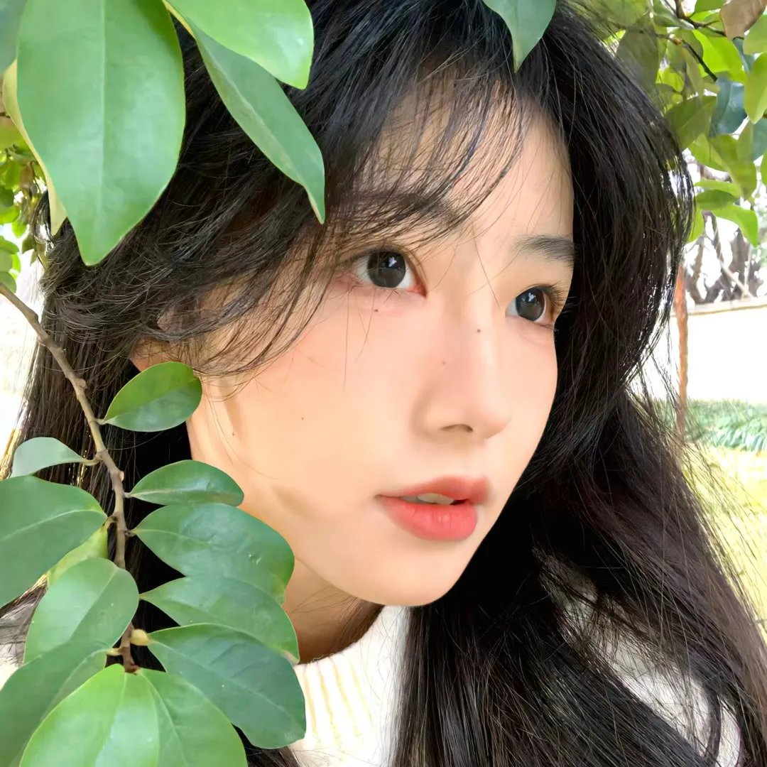 跑马地的月光