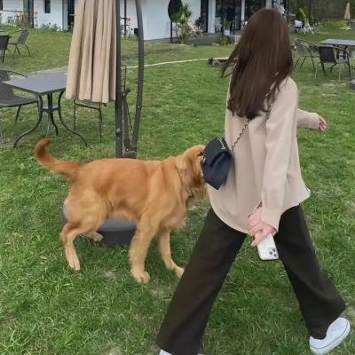 巴尔博大道